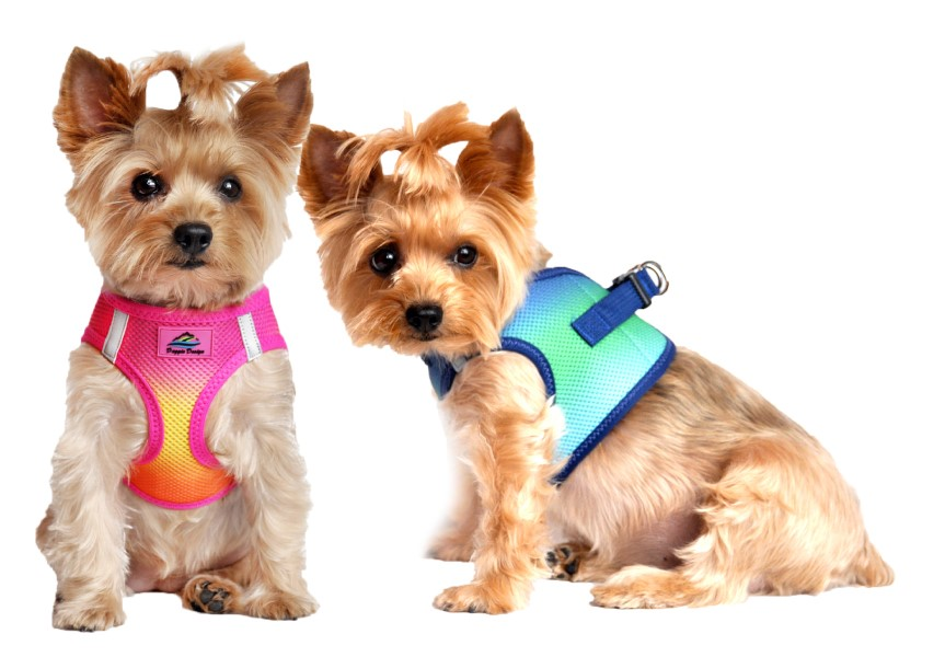 Puppies'