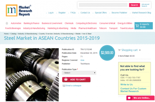 Steel Market in ASEAN Countries 2015 - 2019'
