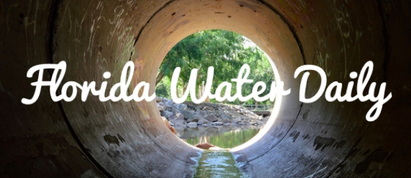 Florida Water Daily'