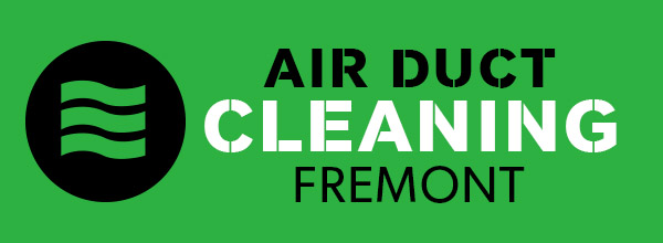 Professional air duct cleaning services'
