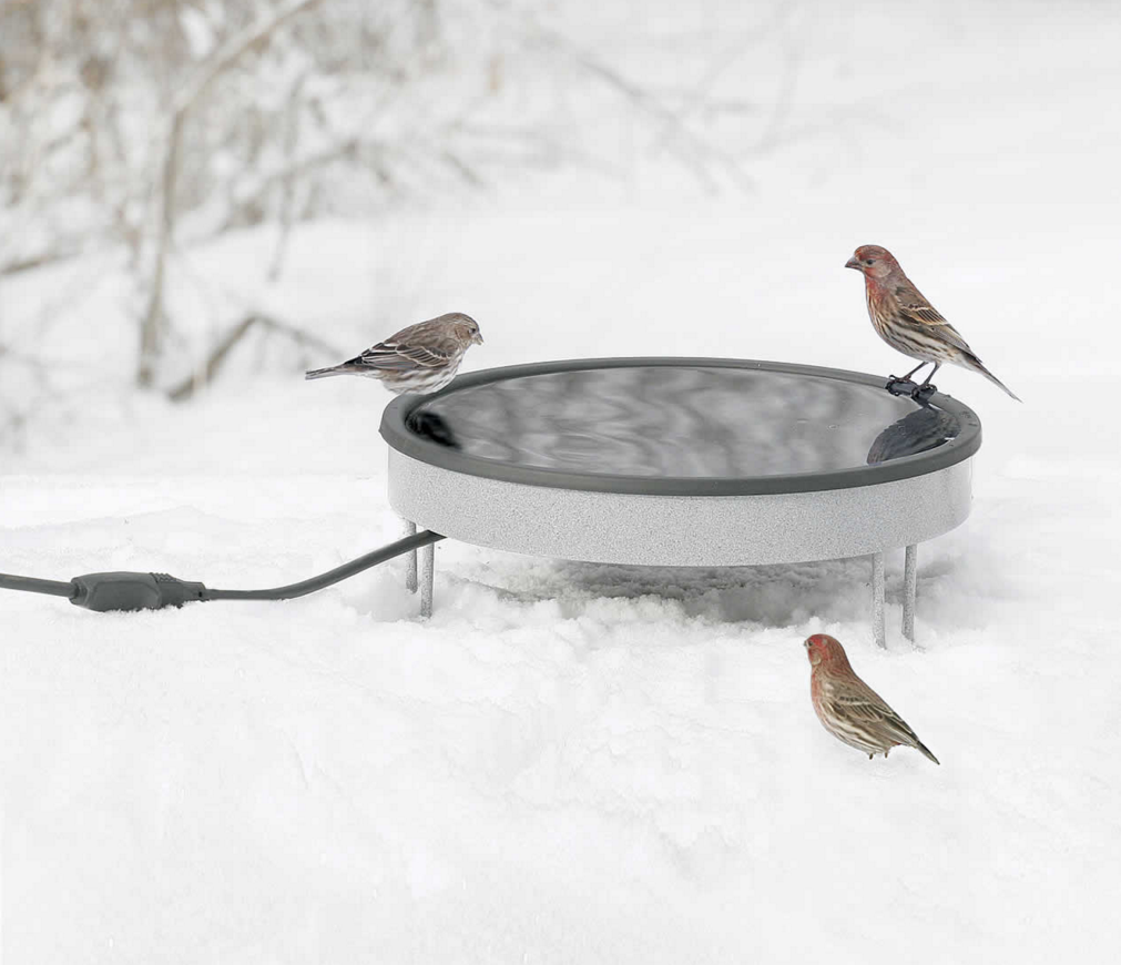 Heated Ground Bath