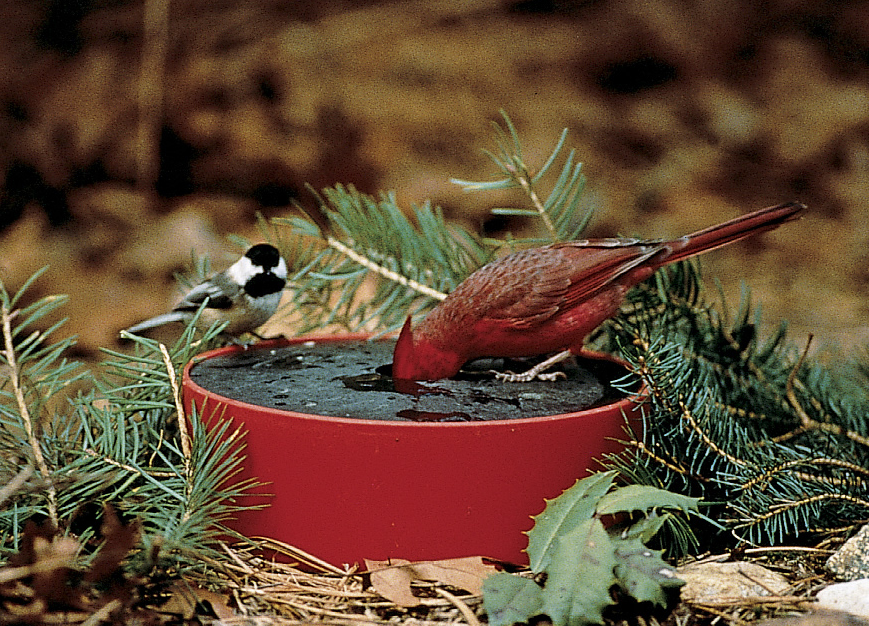Solar Sipper