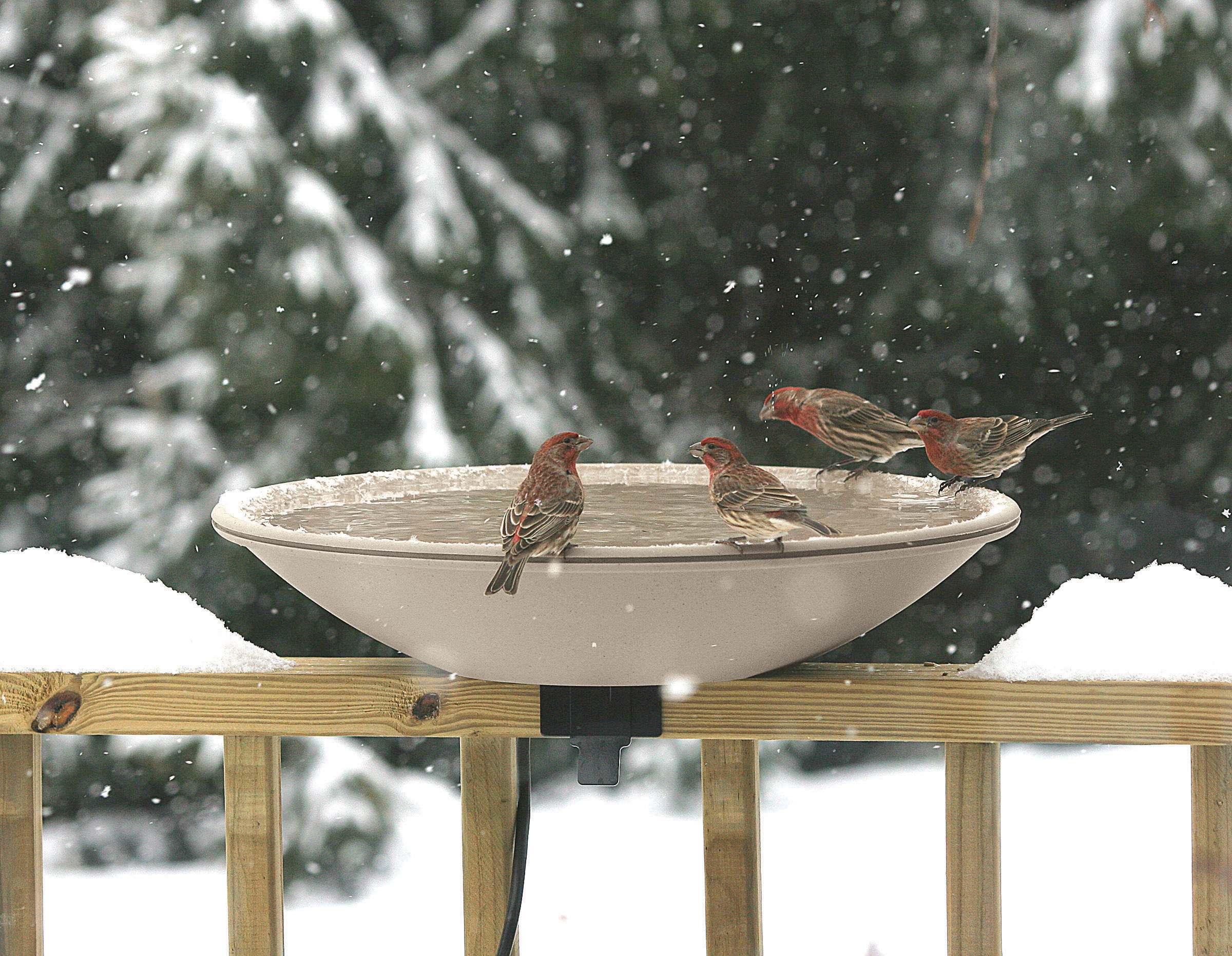All-Seasons Heated Deck Bath