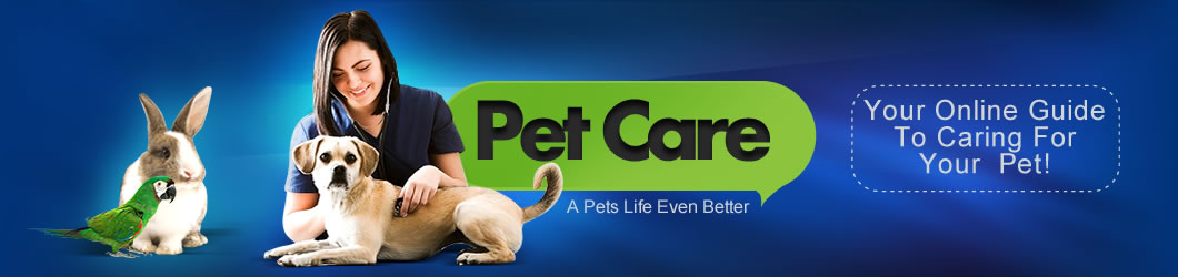 APetsLifeEvenBetter.info Logo