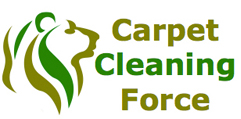 Carpet Cleaning Force'