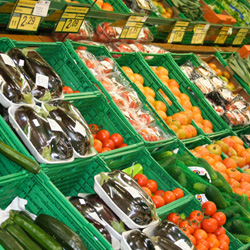 Donate Food - Sign The Petition