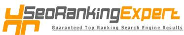 SEO Ranking Expert Logo