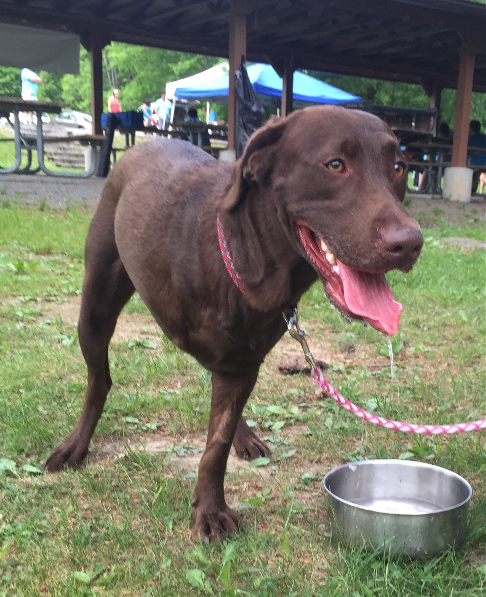 Grant Recipient Athena