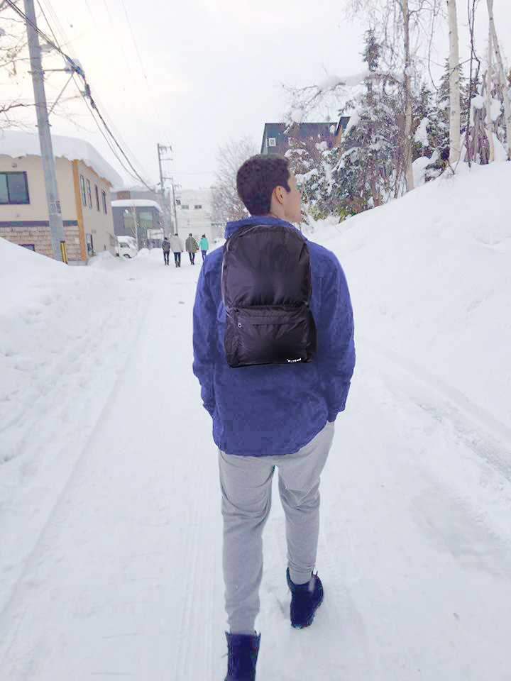 RovEasy Daypack: Best Travel Accessory'