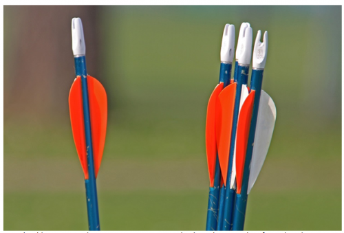 Junior National Indoor Championship successes show archery a'