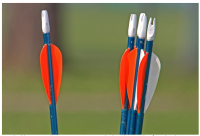 Junior National Indoor Championship successes show archery a