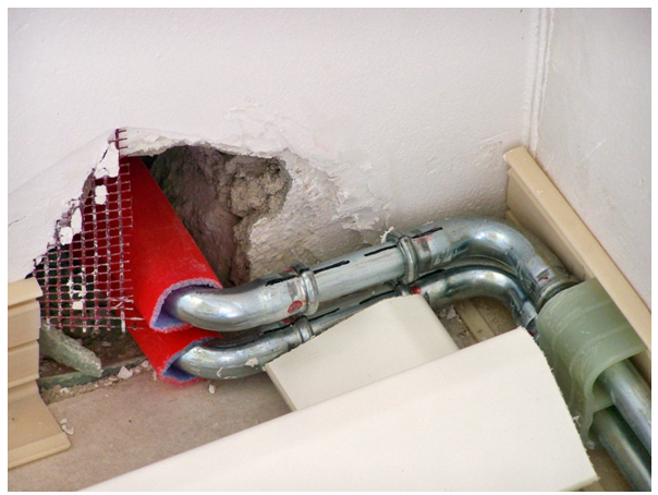 Winner of The Apprentice suggests great things ahead for plu'