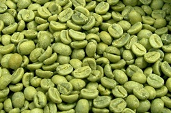 green coffee bean extract'