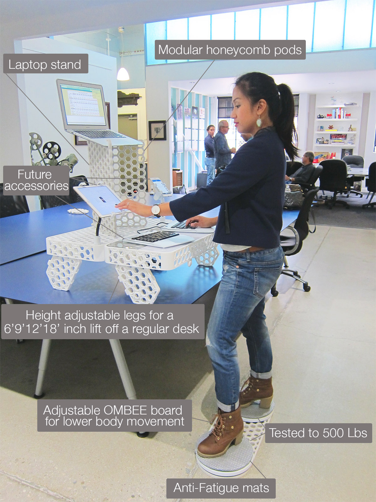 ombeedescriptionsmall'