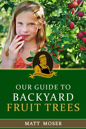 Our Guide to Backyard Fruit Trees'