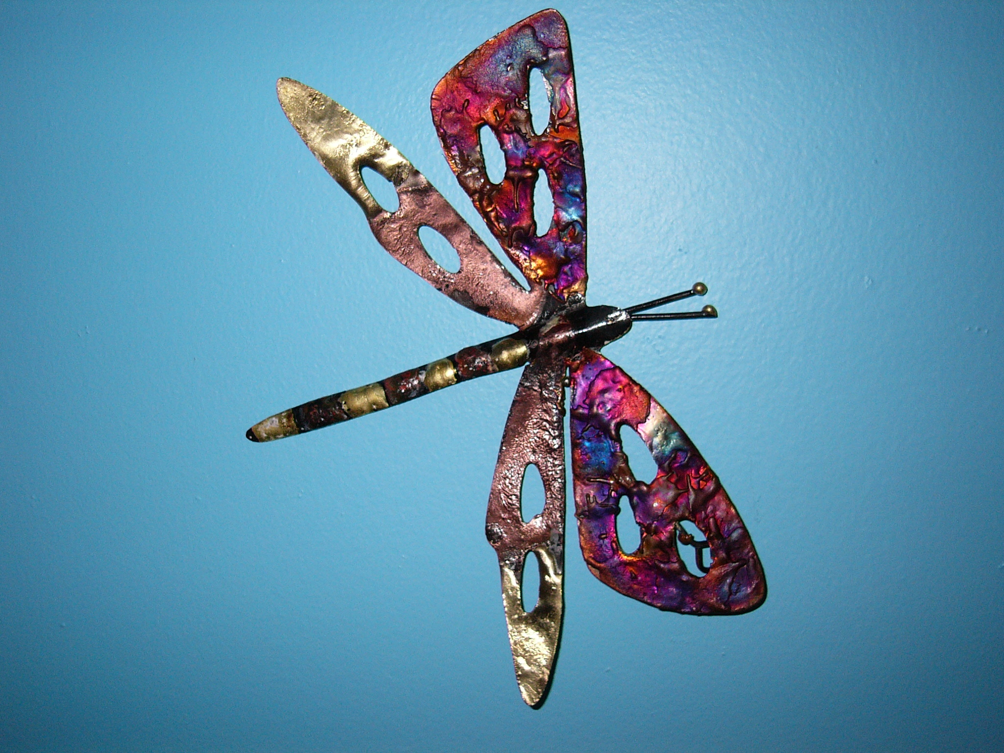 Coast Dragonfly Products
