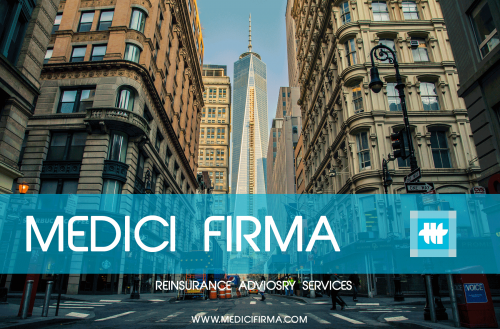 Medici Firma Reinsurance Vehicle for Corporates and Institut'