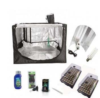 Hydroponics uses 90% less water and could be the best employ