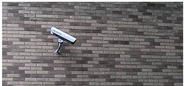 Police tweet images from inside unsafe and insecure homes: C