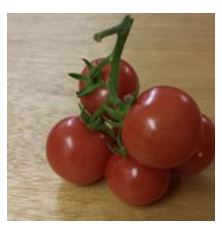 Hydroponics is at the forefront of light-food fusion: Grown'