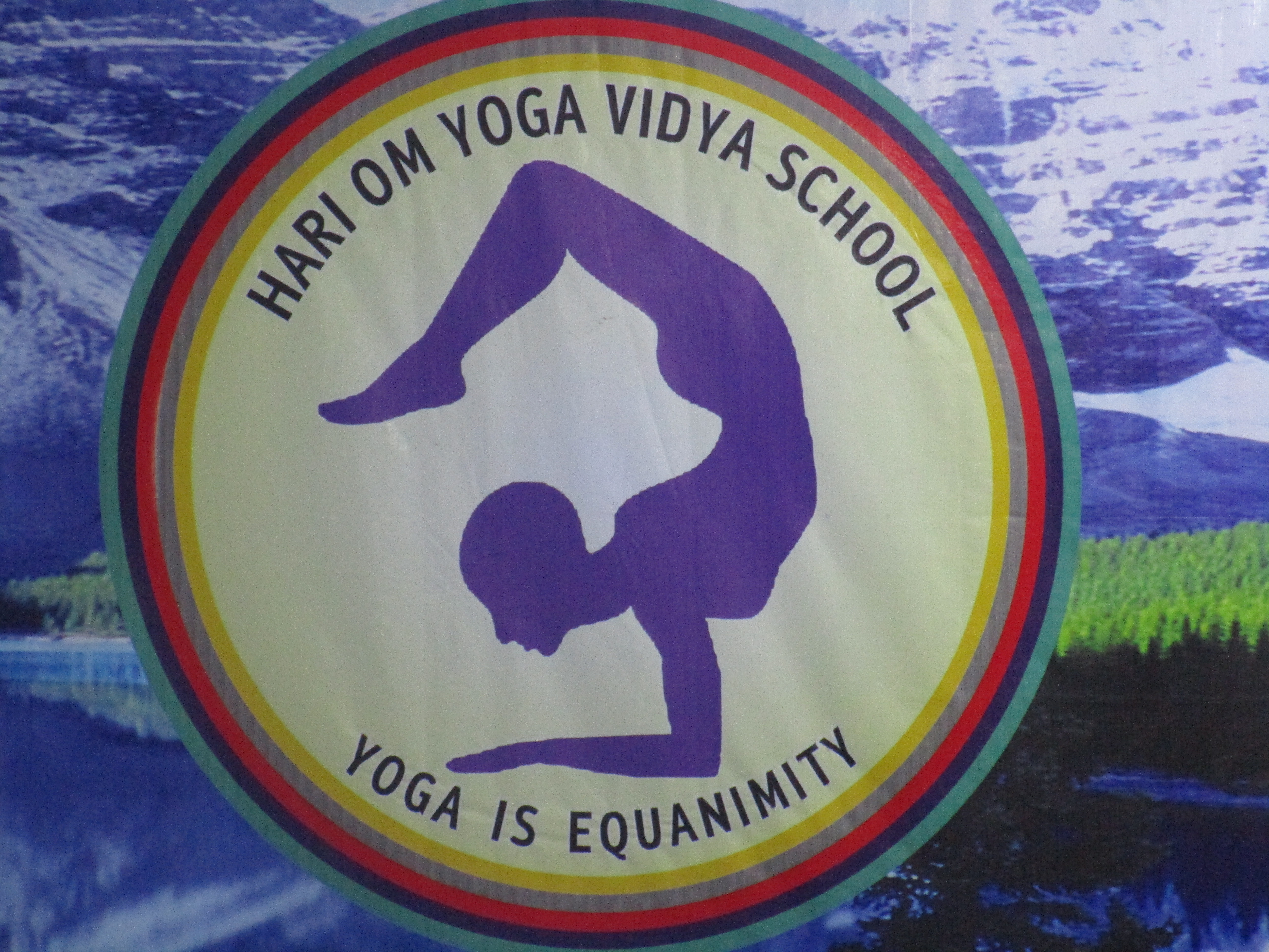 Divine Yoga Academy
