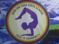 Divine Yoga Academy Logo