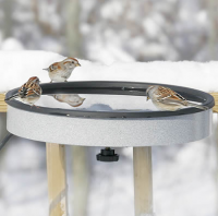 Birds Rely on Fresh Water from Heated Birdbaths