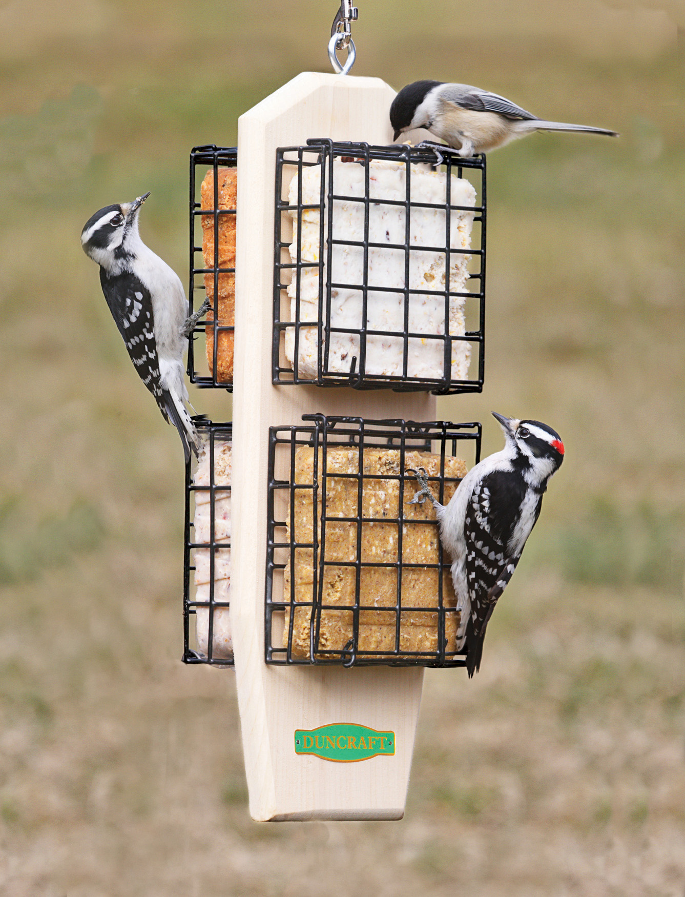 Super Clinger Suet Feeder