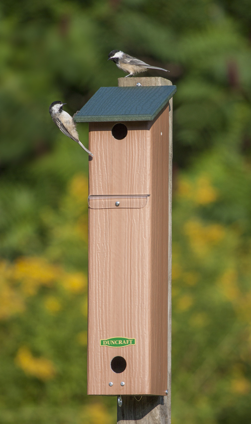 Songbird House and Roosting Box'