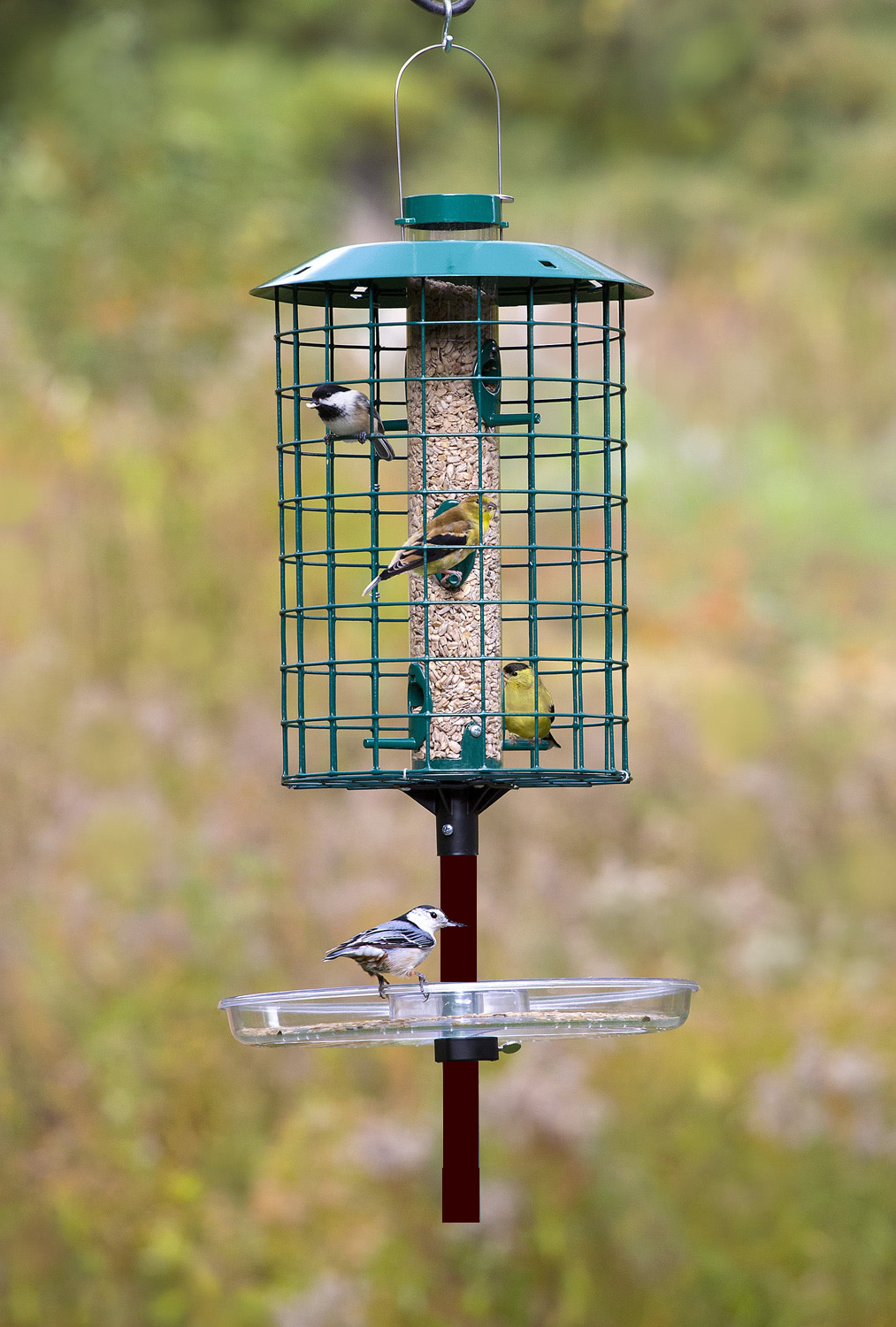 Deluxe No-Waste Hanging Feeding System'