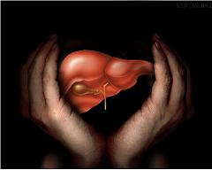 Logo for Liver Transplant Consultant India'