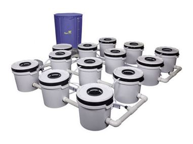 Hydroponics industry set for growth by up to 16.8% by 2020:'