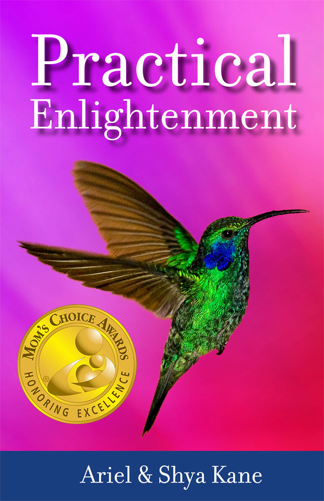 Practical Enlightenment'