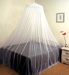 Mosquito Net'
