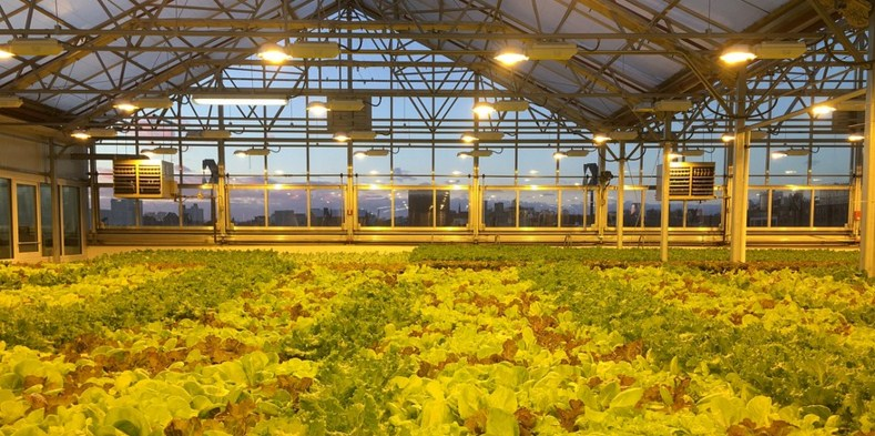 Agri-innovation'