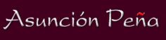 Company Logo For Asuncion Pe&ntilde;a'