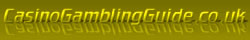 Casino Gambling Guide