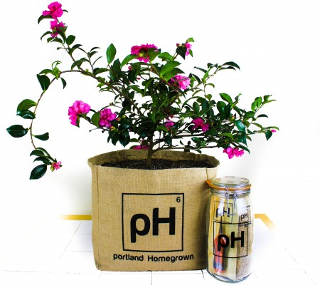 portland-homegrown'