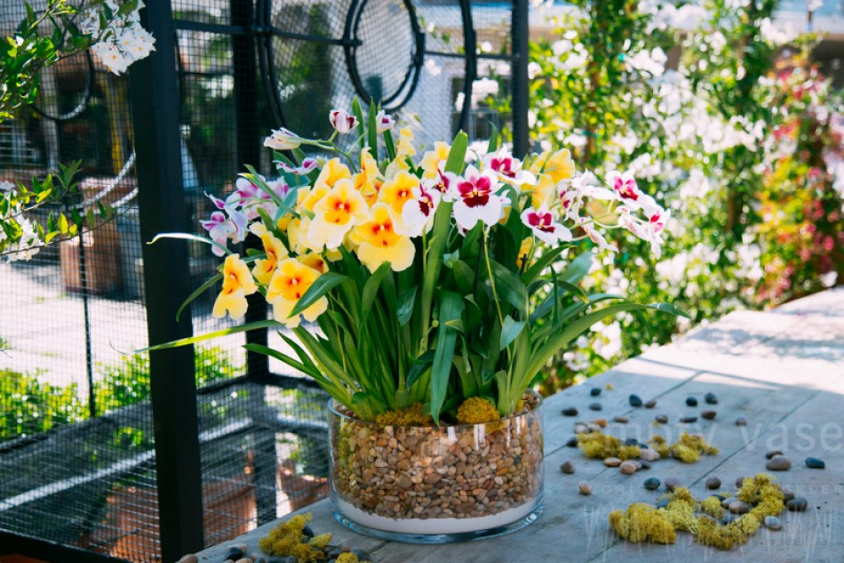 Beverly Hills Flower Delivery'