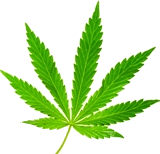 Company Logo For TurnKey Gardens'