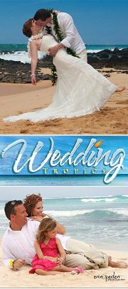 Wedding Tropics Logo'