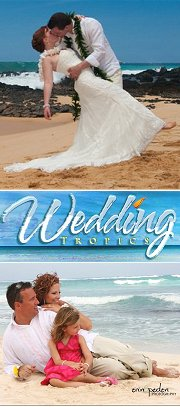 Wedding Tropics Logo