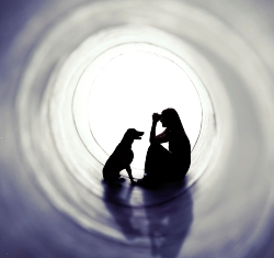 Crossroads Animal Emergency