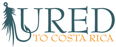 Logo for Luredtocostarica.com'