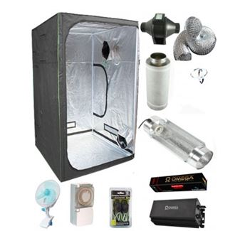 Hydroponics is agrowing industry set to be worth 395.2 milli'