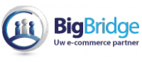 BigBridge Logo