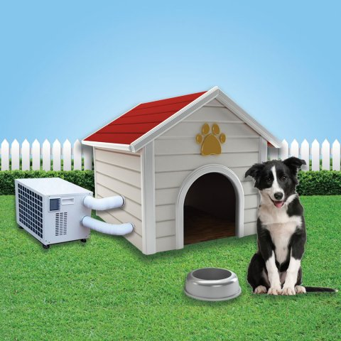 dog house air conditioning'