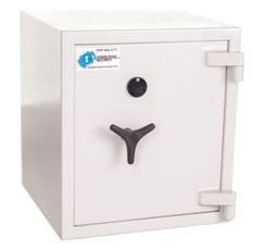 Associated Security Solutions'