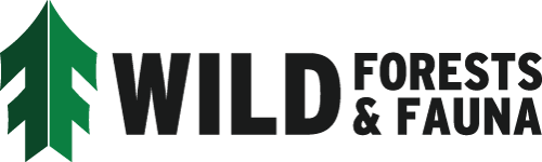 WFF logo