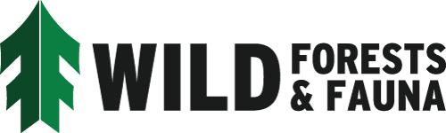 WFF logo'